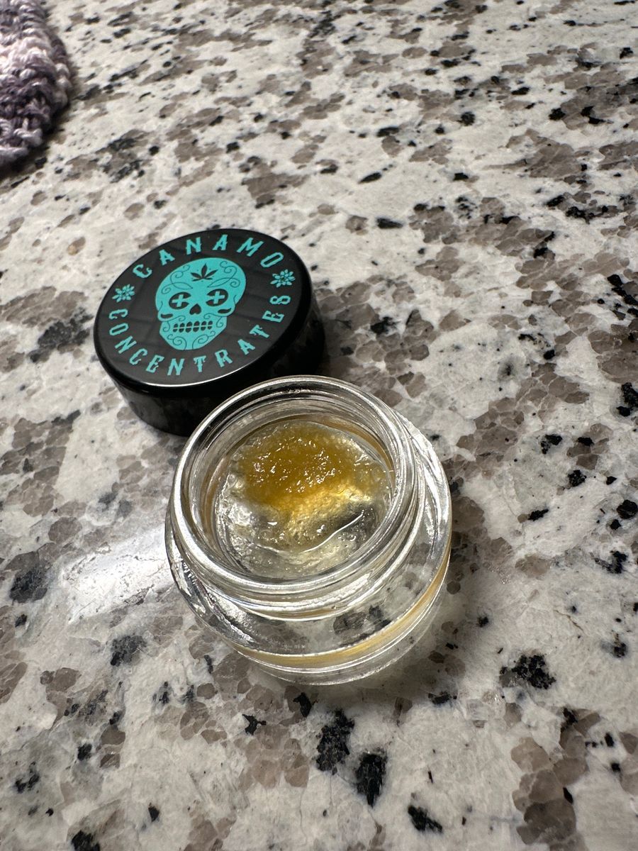 Iced Biscotti strain