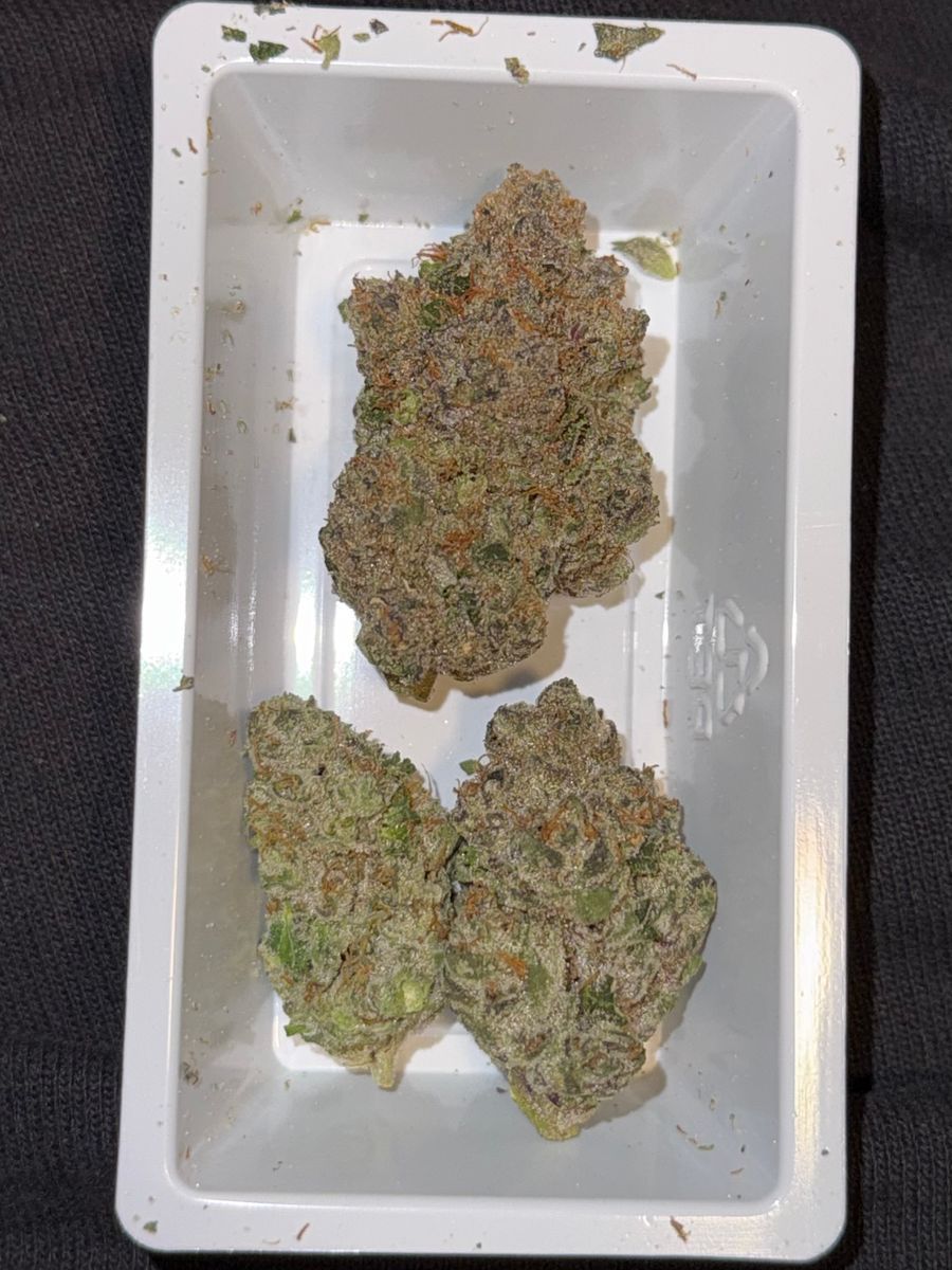 Goldflower Cannabis Cherry Noir