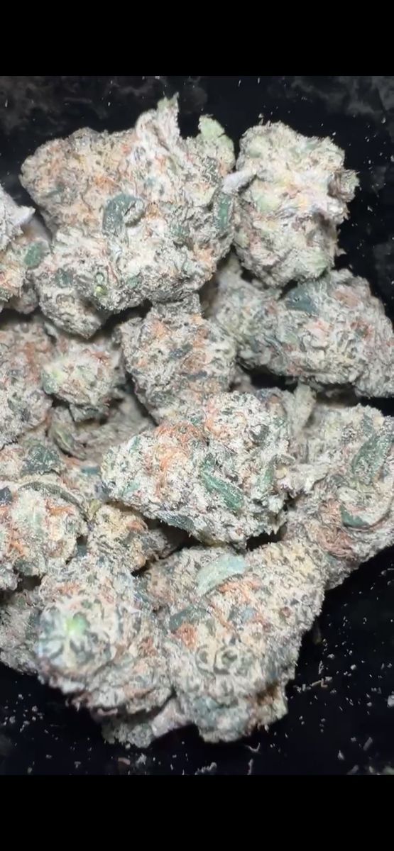 Nigerian Lemon Tree strain
