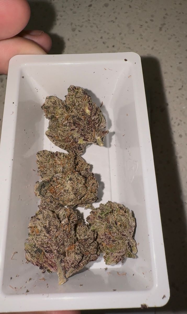 Ideal Cannabis Giraffe Pussy X Blue Jams