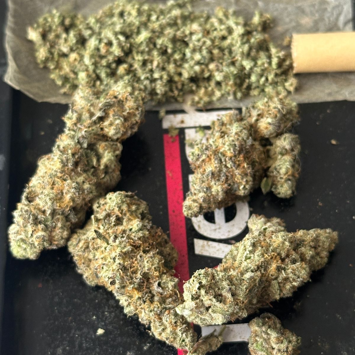 Terpee Burger strain