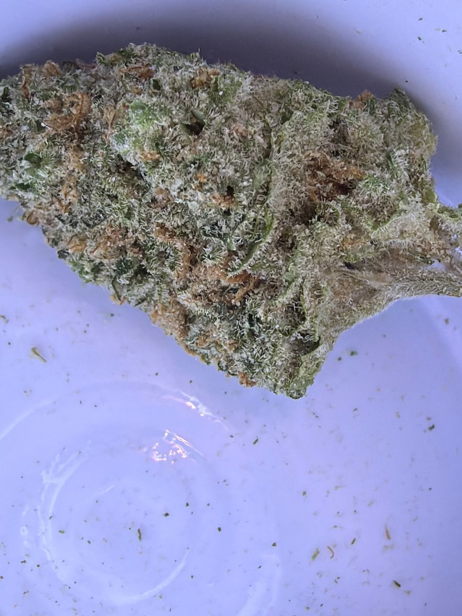 Bubba Kush strain