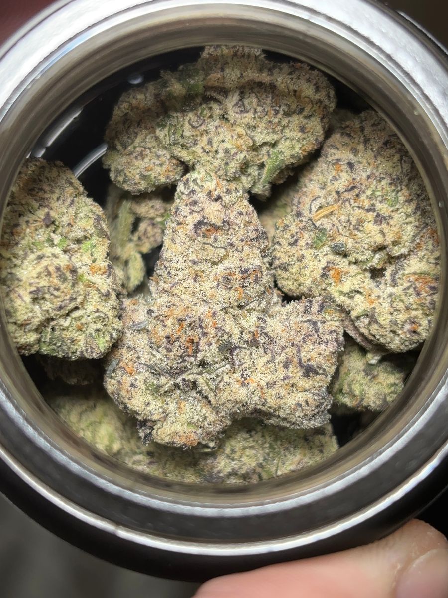 Lifted: Blue Lobster
