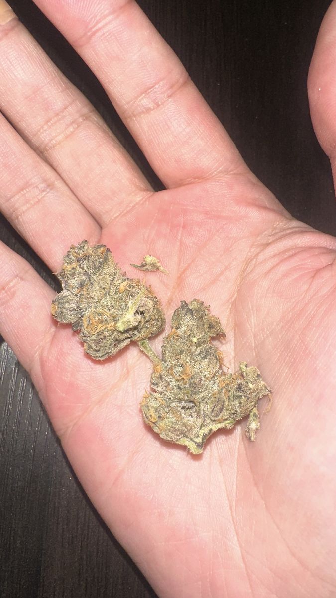 710 Labs: The Rucker #1