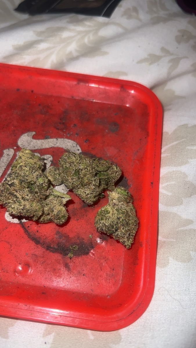 Stizzy Blue Dream