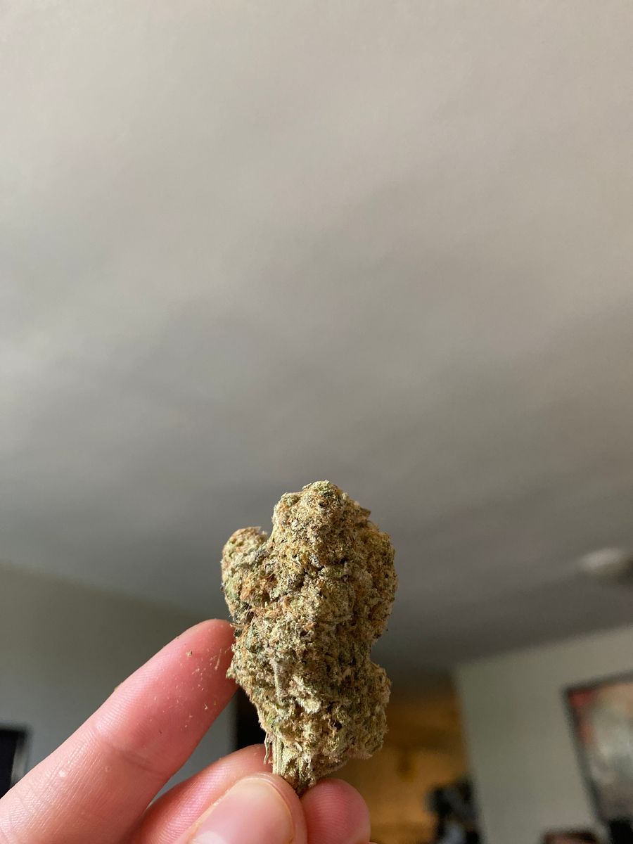 Snowman strain