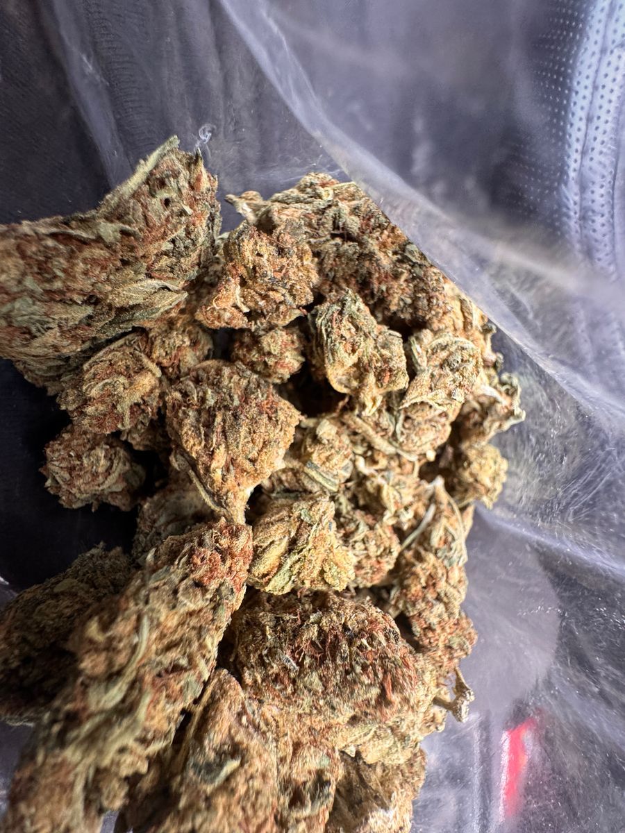Orange Soda strain