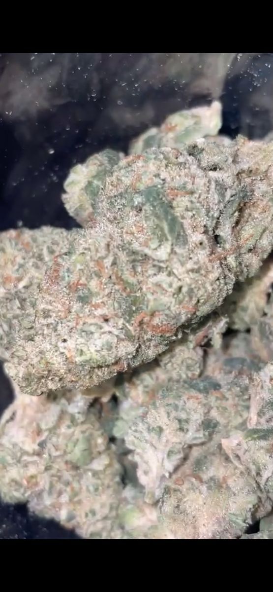 Neon Lambo strain