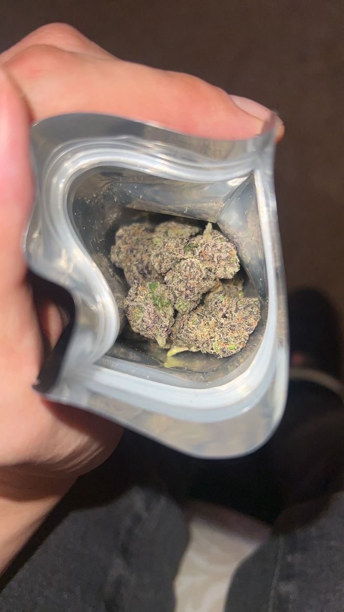 Butter Scotch strain