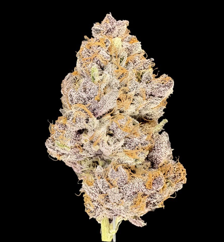 Trop Cherry Cookies strain