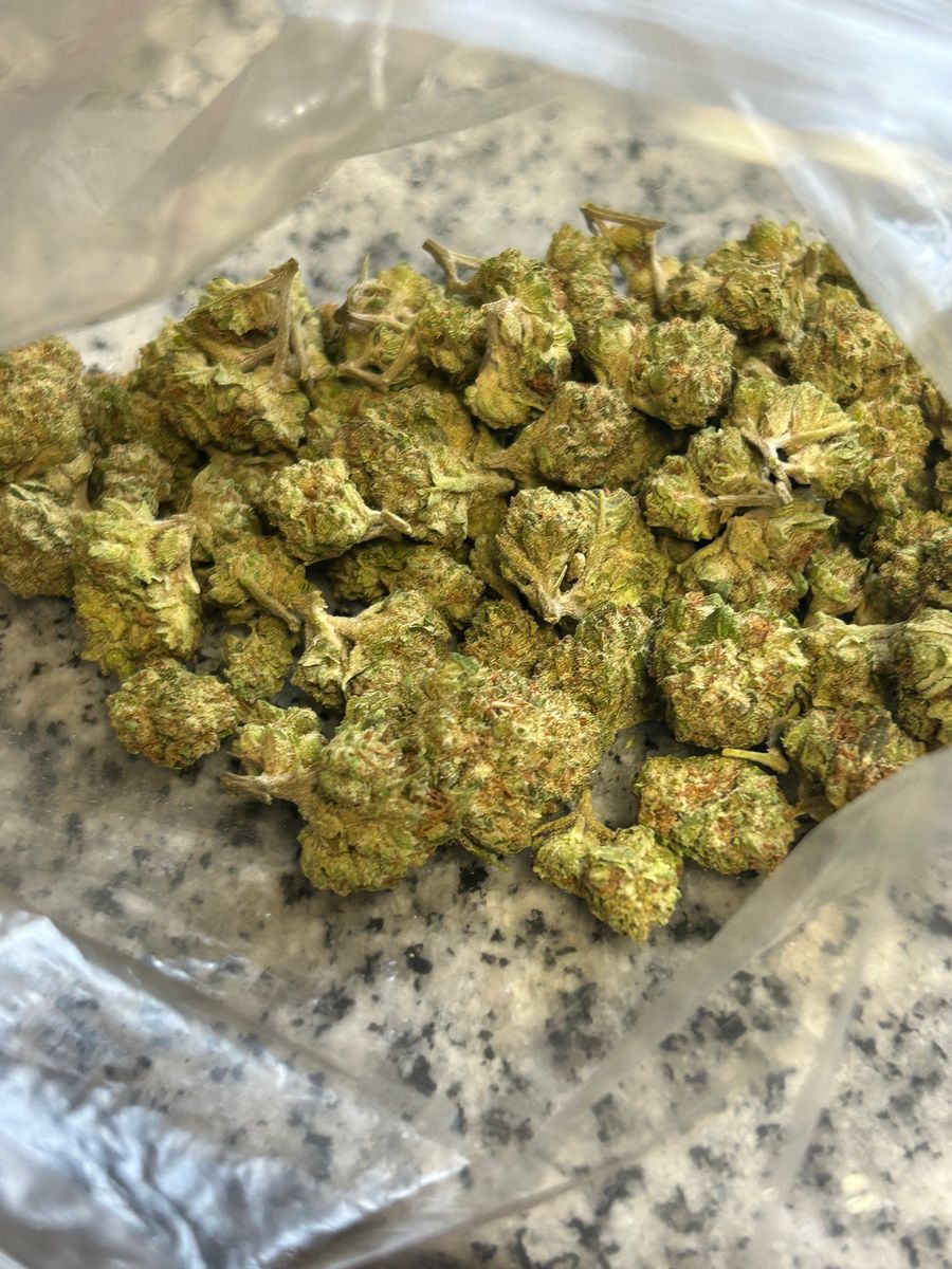 Evansville Plug Gelato 47