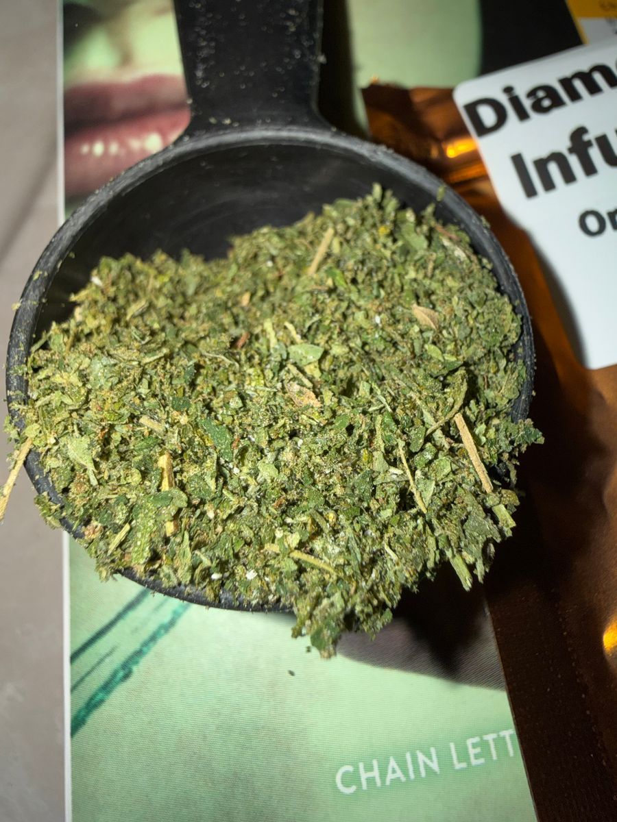 Orange 43 strain