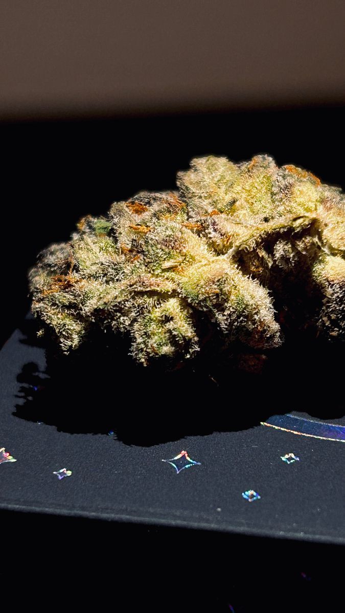 Romscotti strain