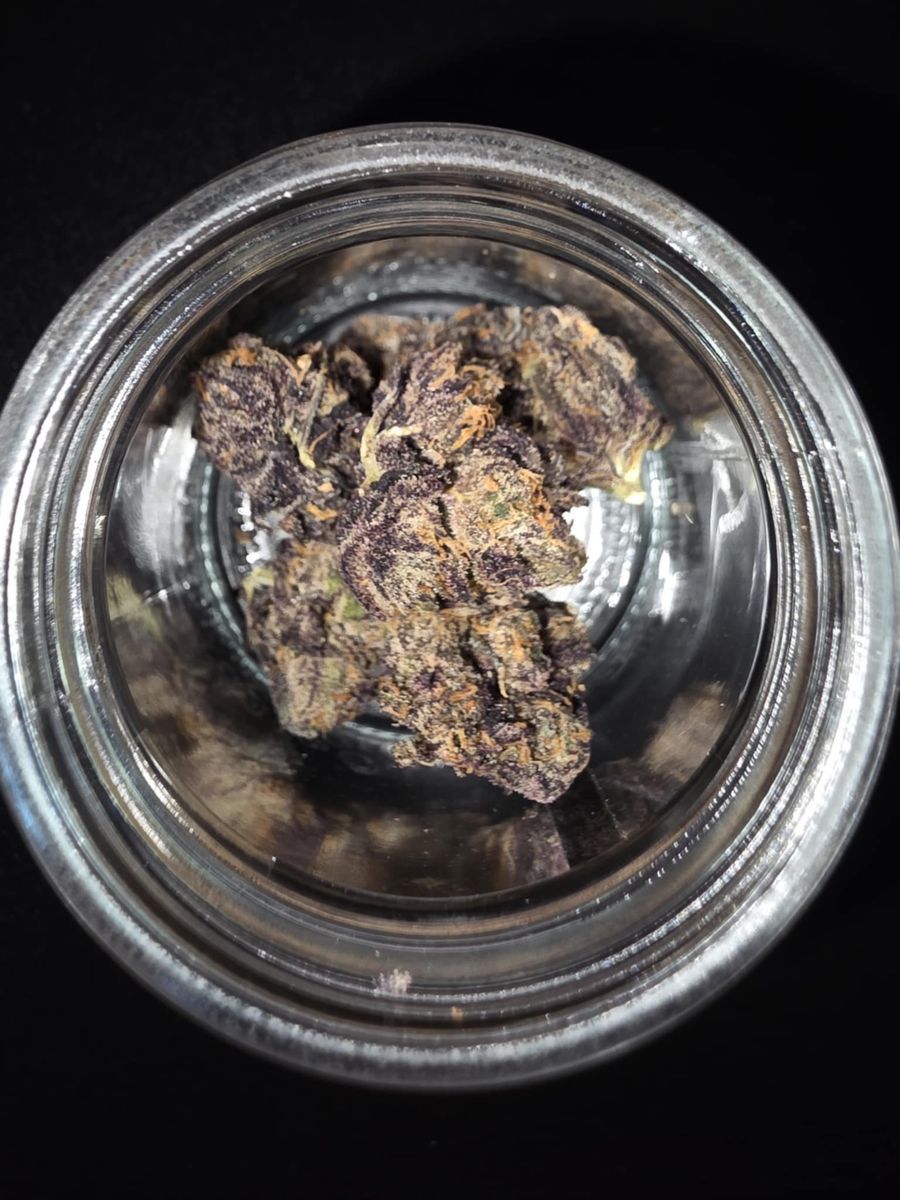 Guava 2.0 strain