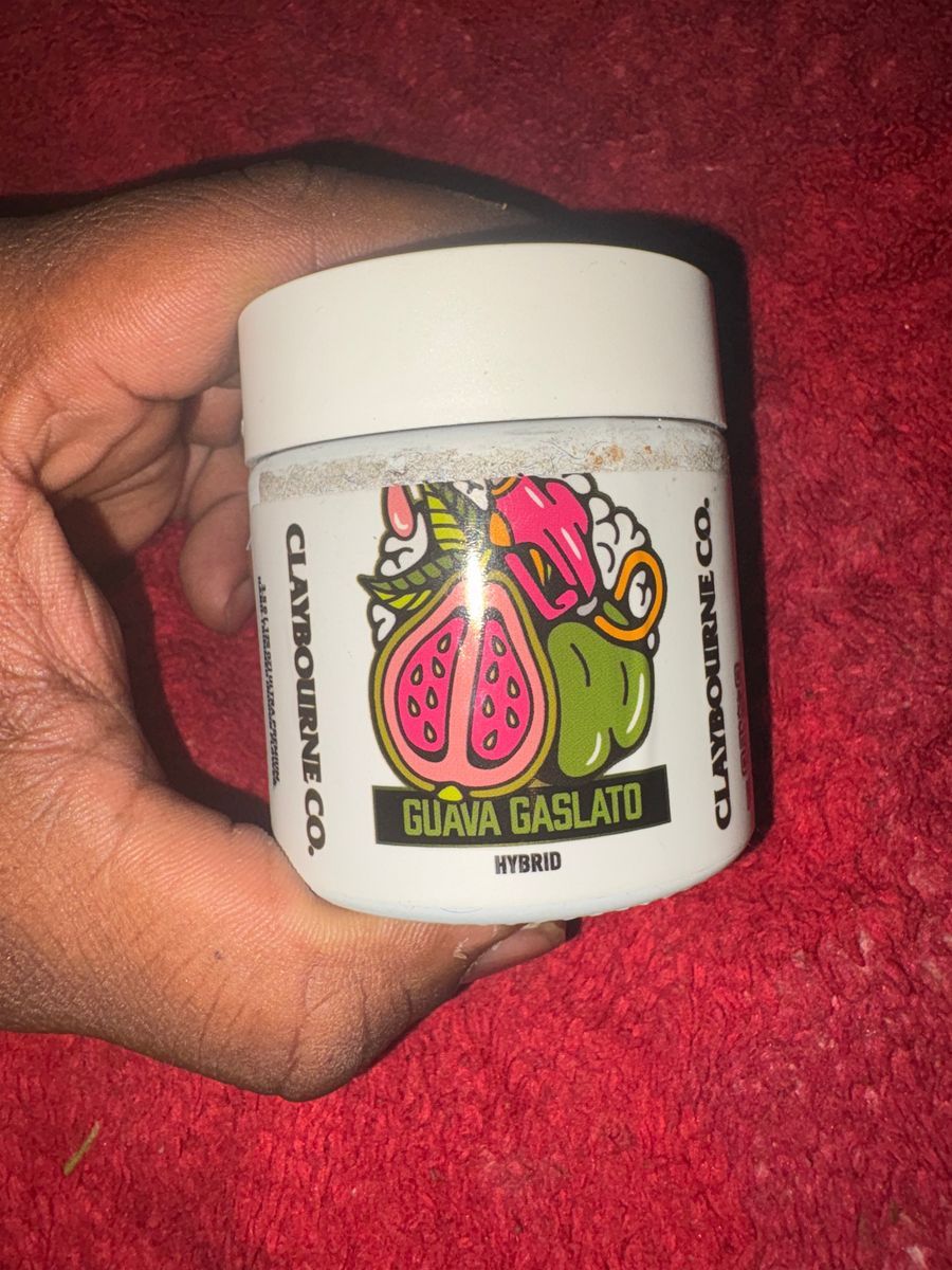 Guava Gasplant strain