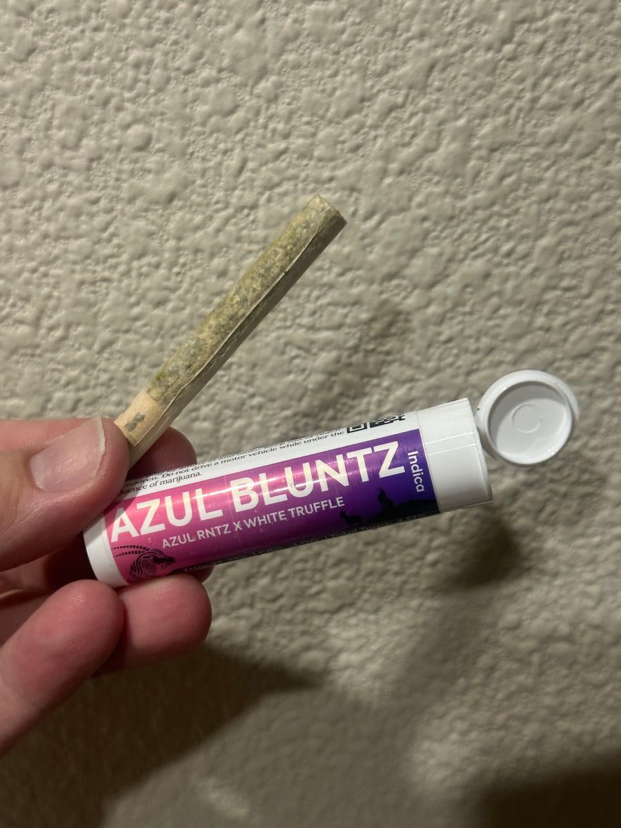 Kaprikorn Azul Bluntz