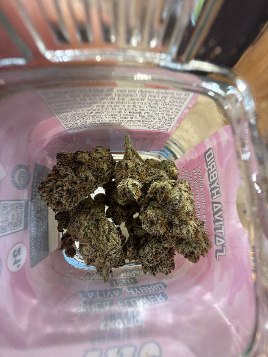 Purple Champange strain