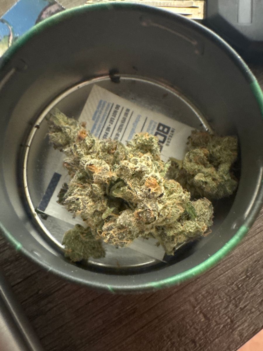Apple Fritter strain