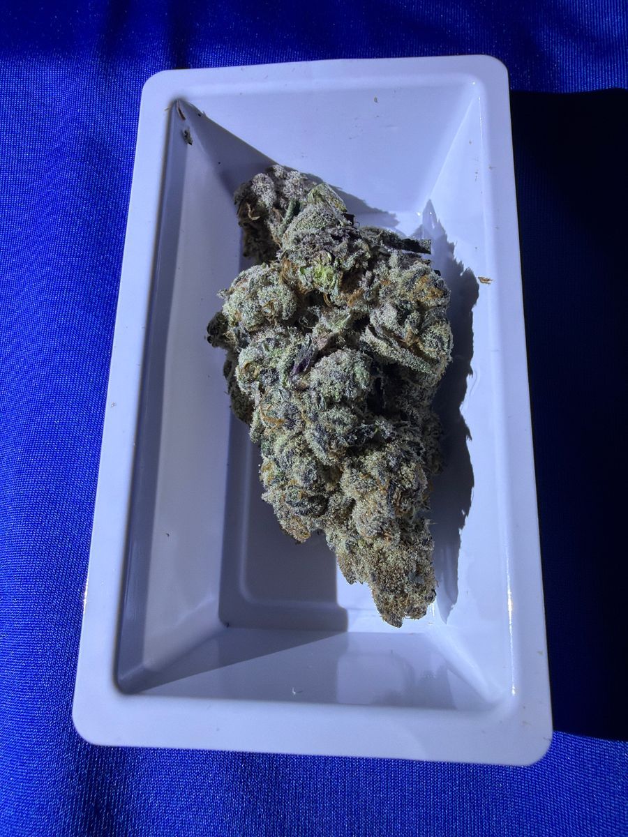 Blue Cocktail strain