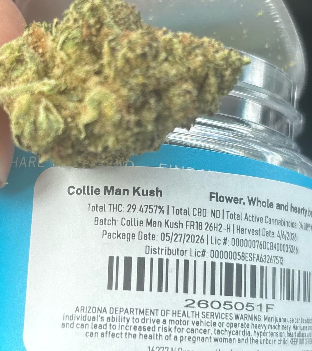 Collie Man Kush strain