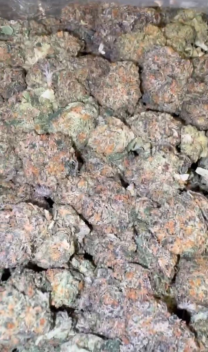 Reckless Candy Runtz strain