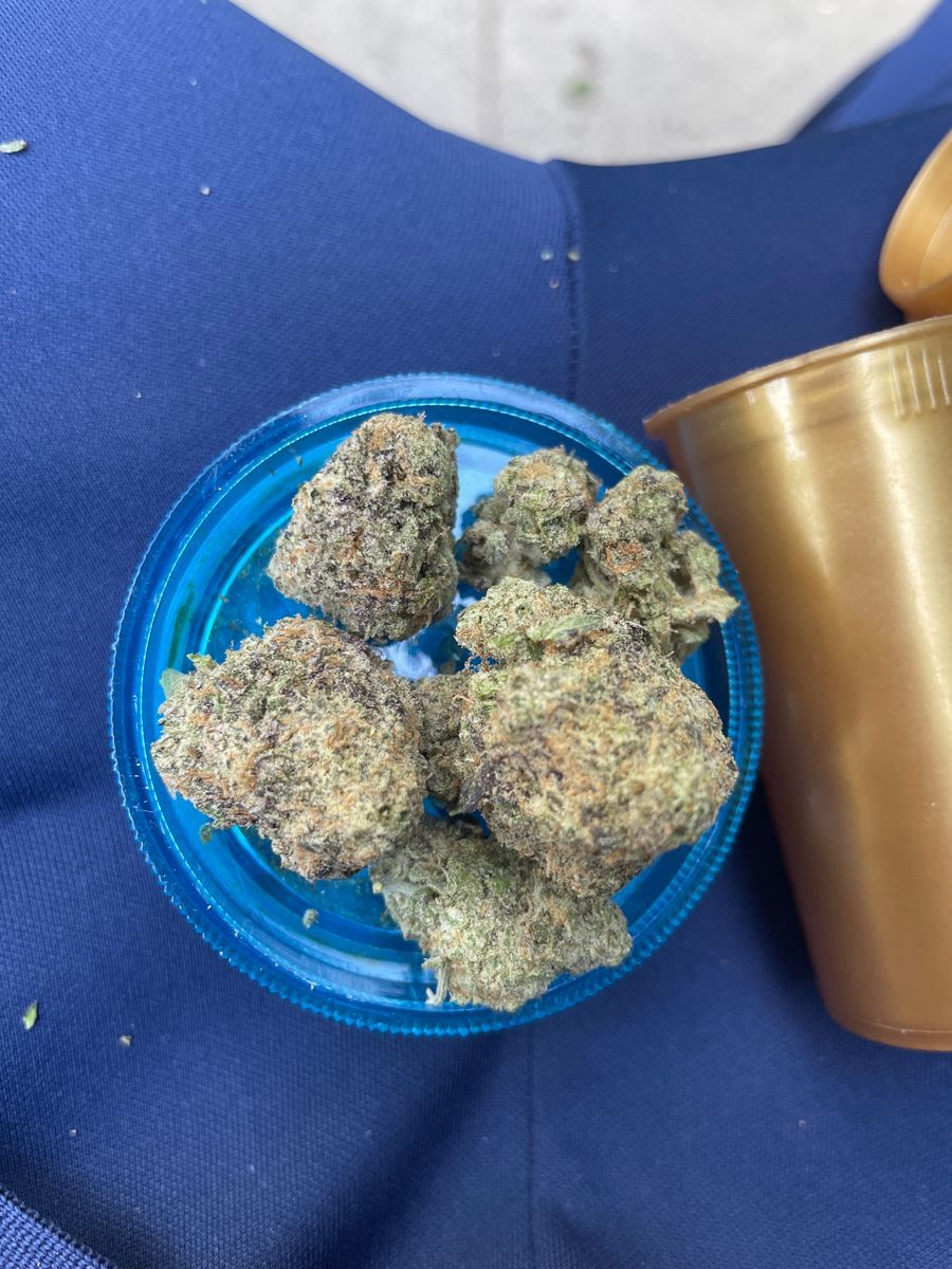 Home Grown Mimosa