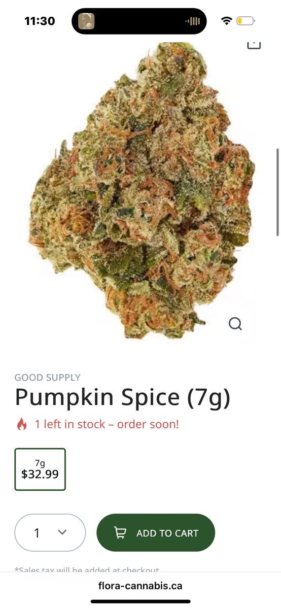 Pumpkin Spice strain