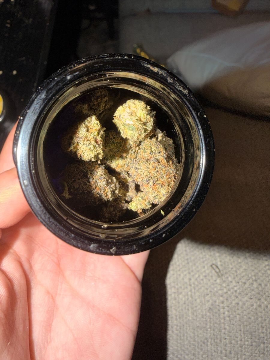Wankas Root Beer strain