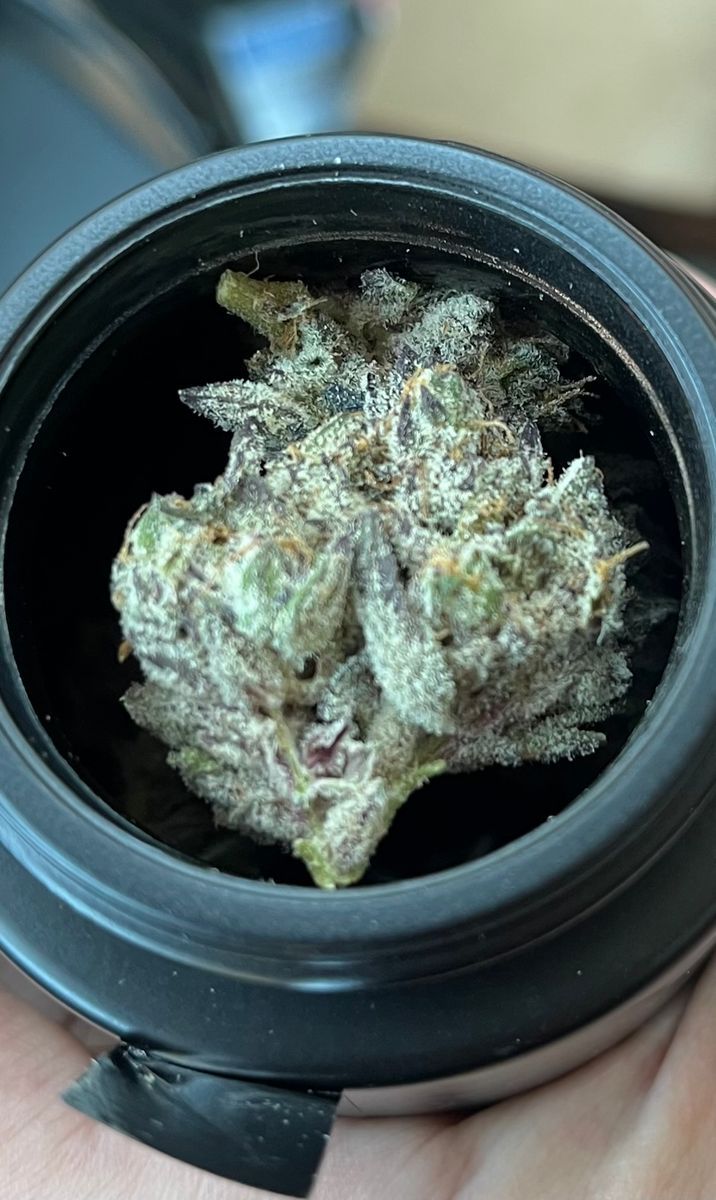 Fkafl strain