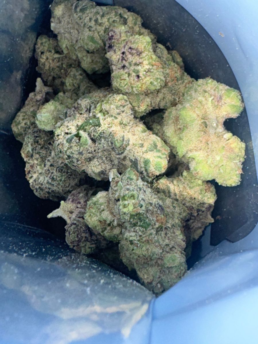 Blueberry X Sugar Cookies strain