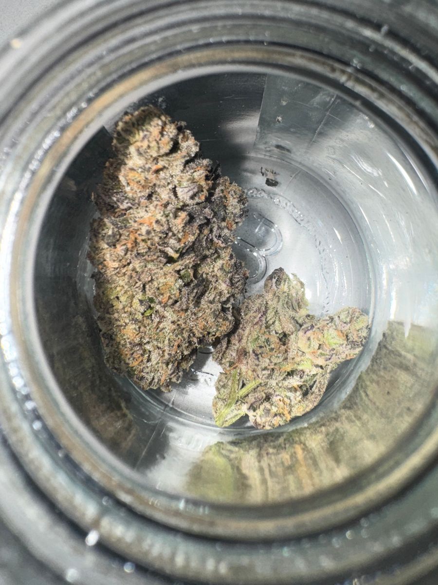 Bubba's Girl strain