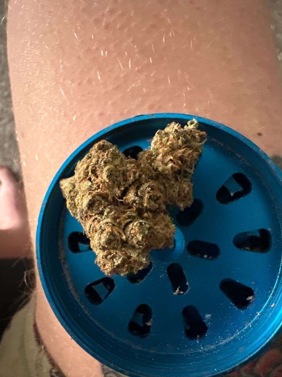 Forevergreen  Chemdawg