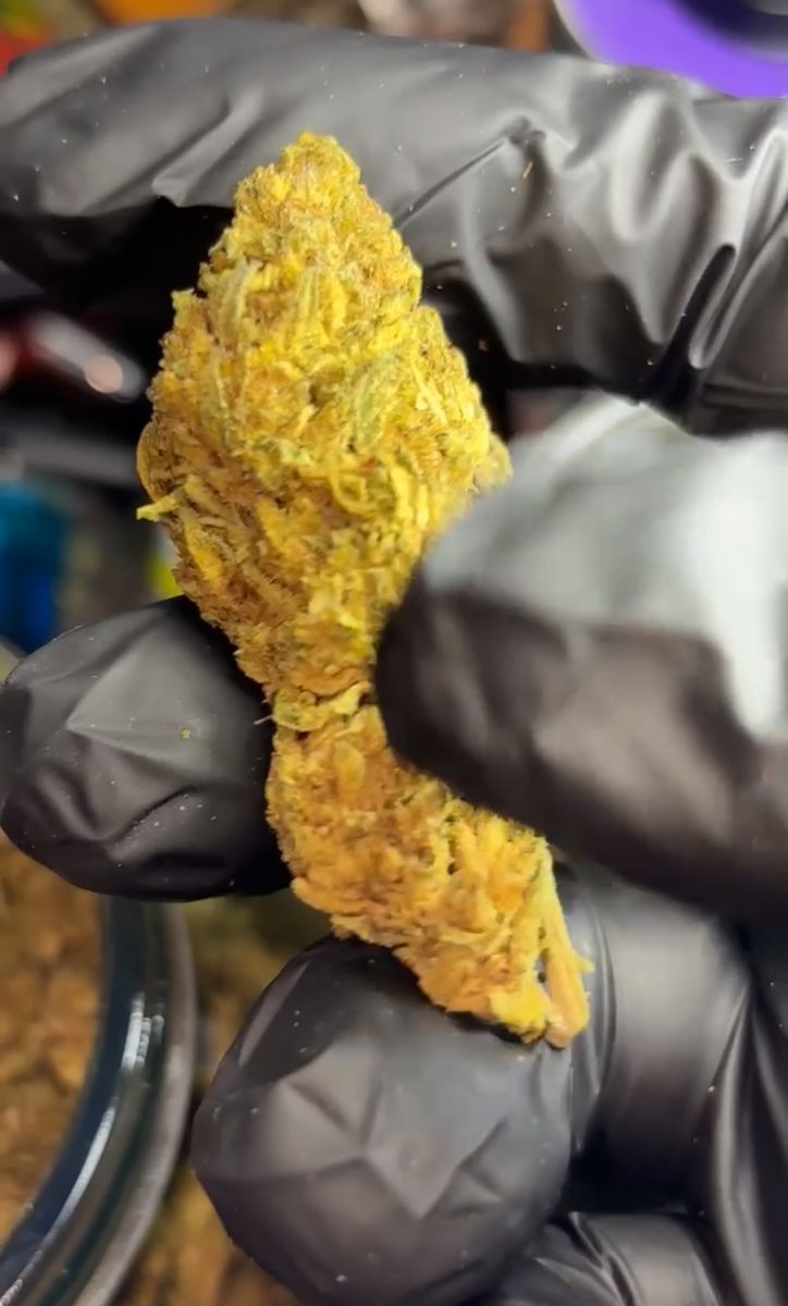 Mendo Breath strain