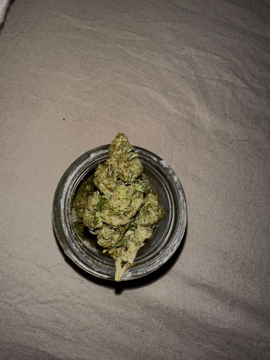 Norcal Candy Apple