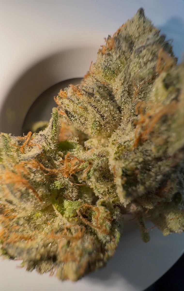 710 Labs Z Pie #9