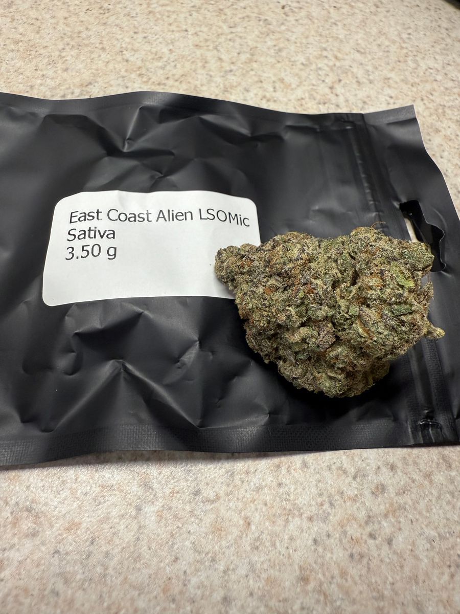 East Coast Alien strain