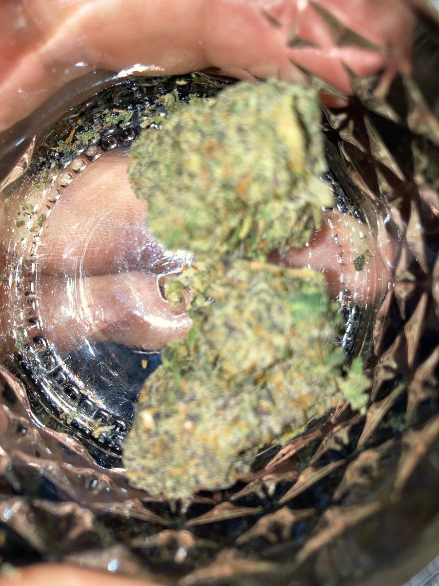 Gary Gary #47 strain