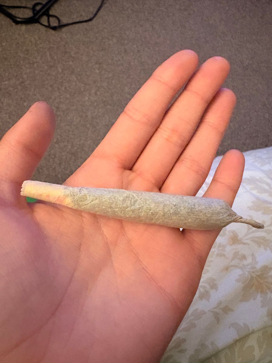 Canna Loops brand