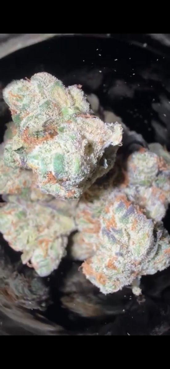 Good Greens Blueberry Pheno