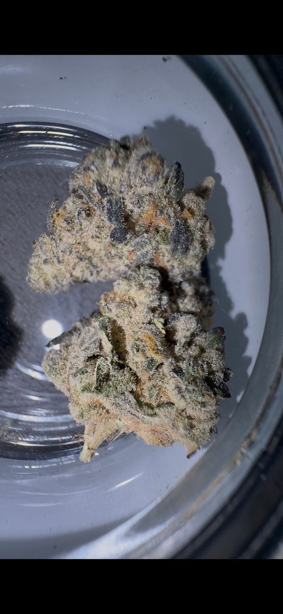 Sneak Attack Og strain