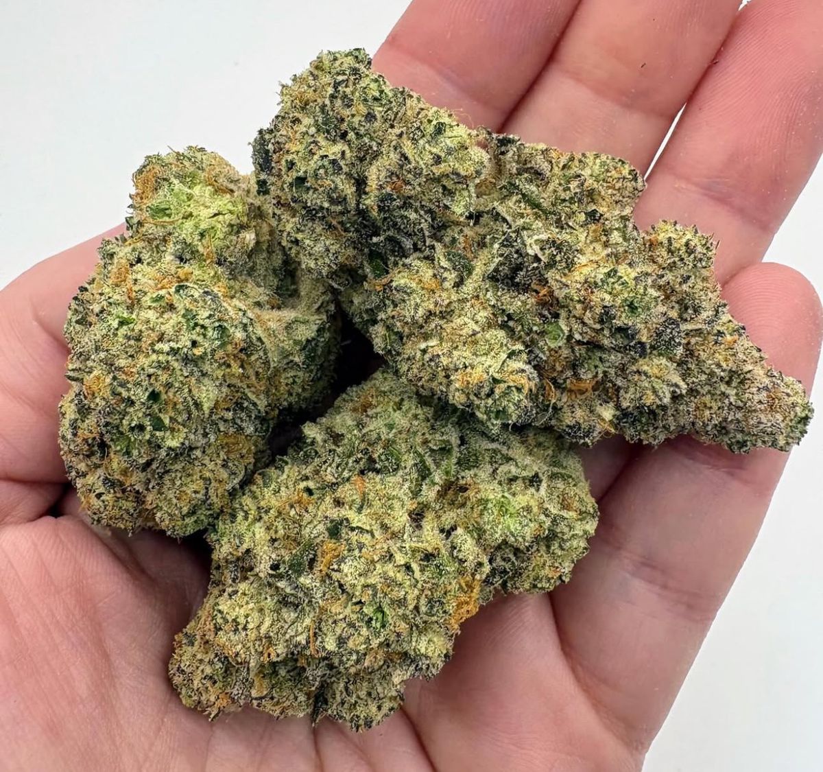 Green Earth Cultivators brand