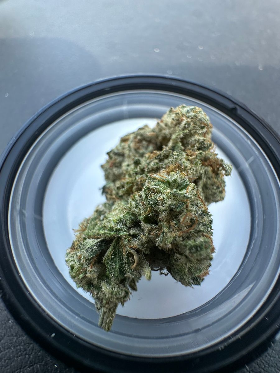 Rolling Green Cannabis East Coast Sour Diesel