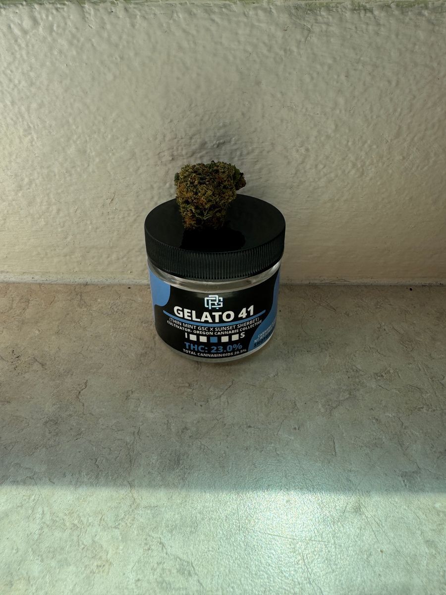 Oregon Cannabis Gelato 41