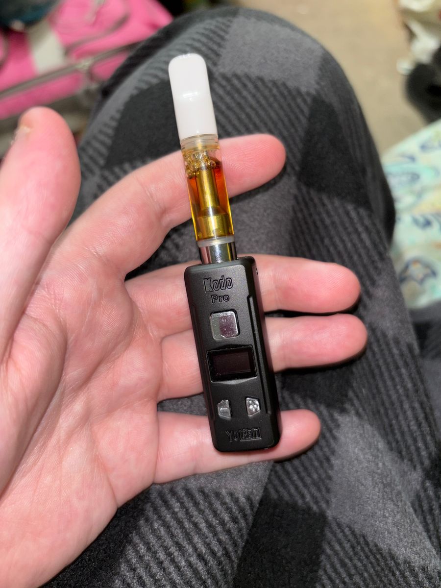 Tropical Punch strain