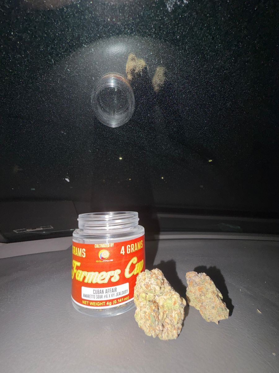 Cuban Affair strain