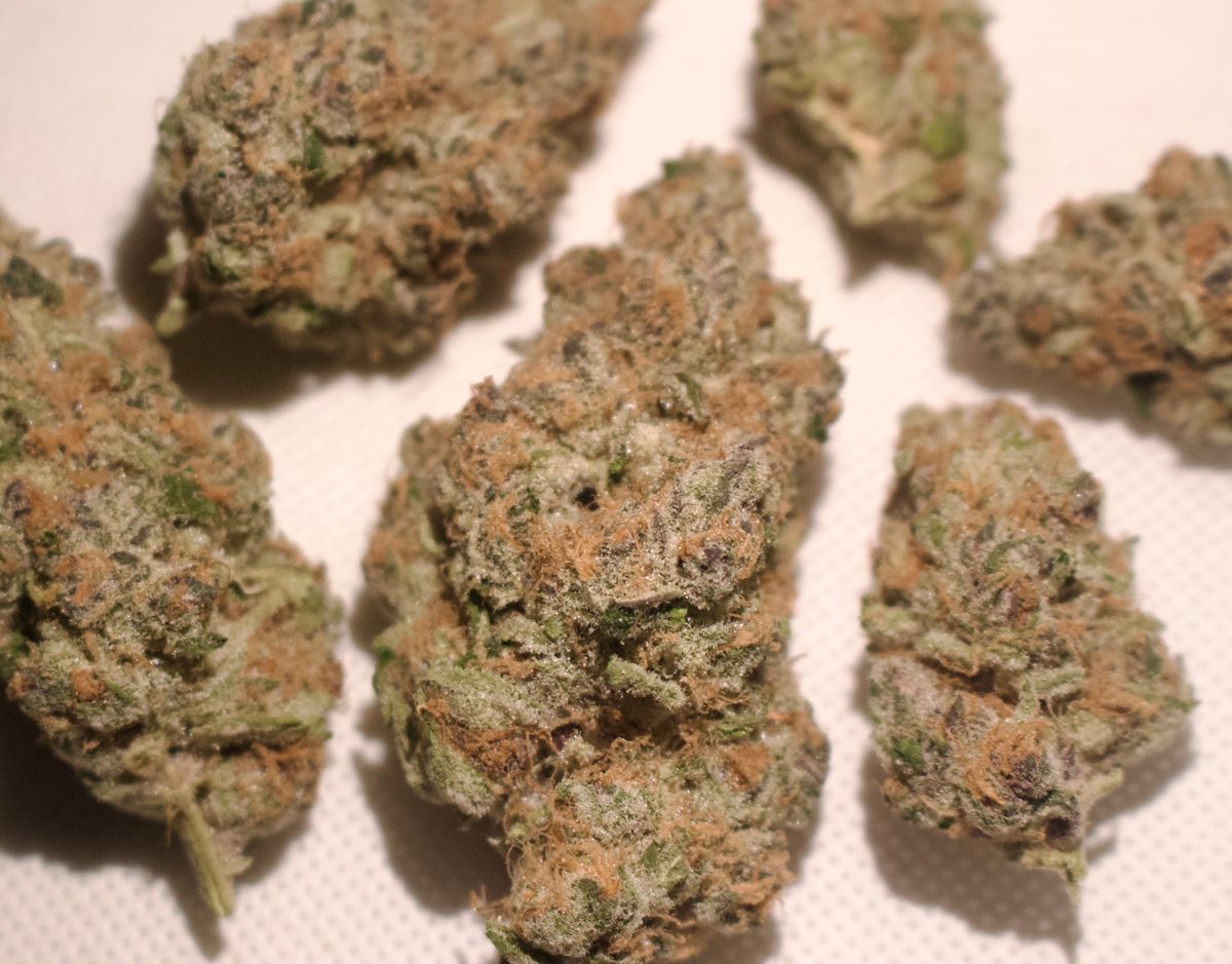 Lemon Cookie Dough strain