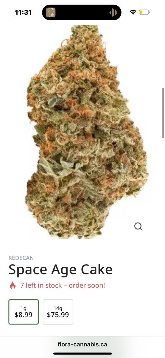 Space Age Cake strain