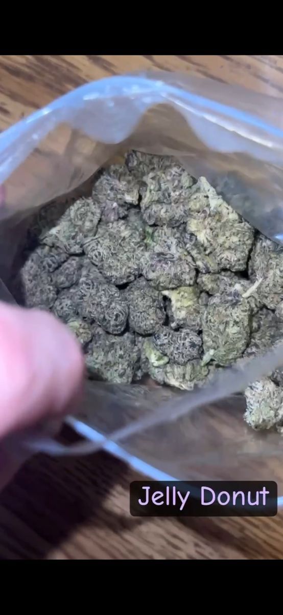 Private Grow: Jelly Donut