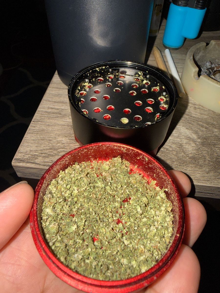 Tiramisu strain