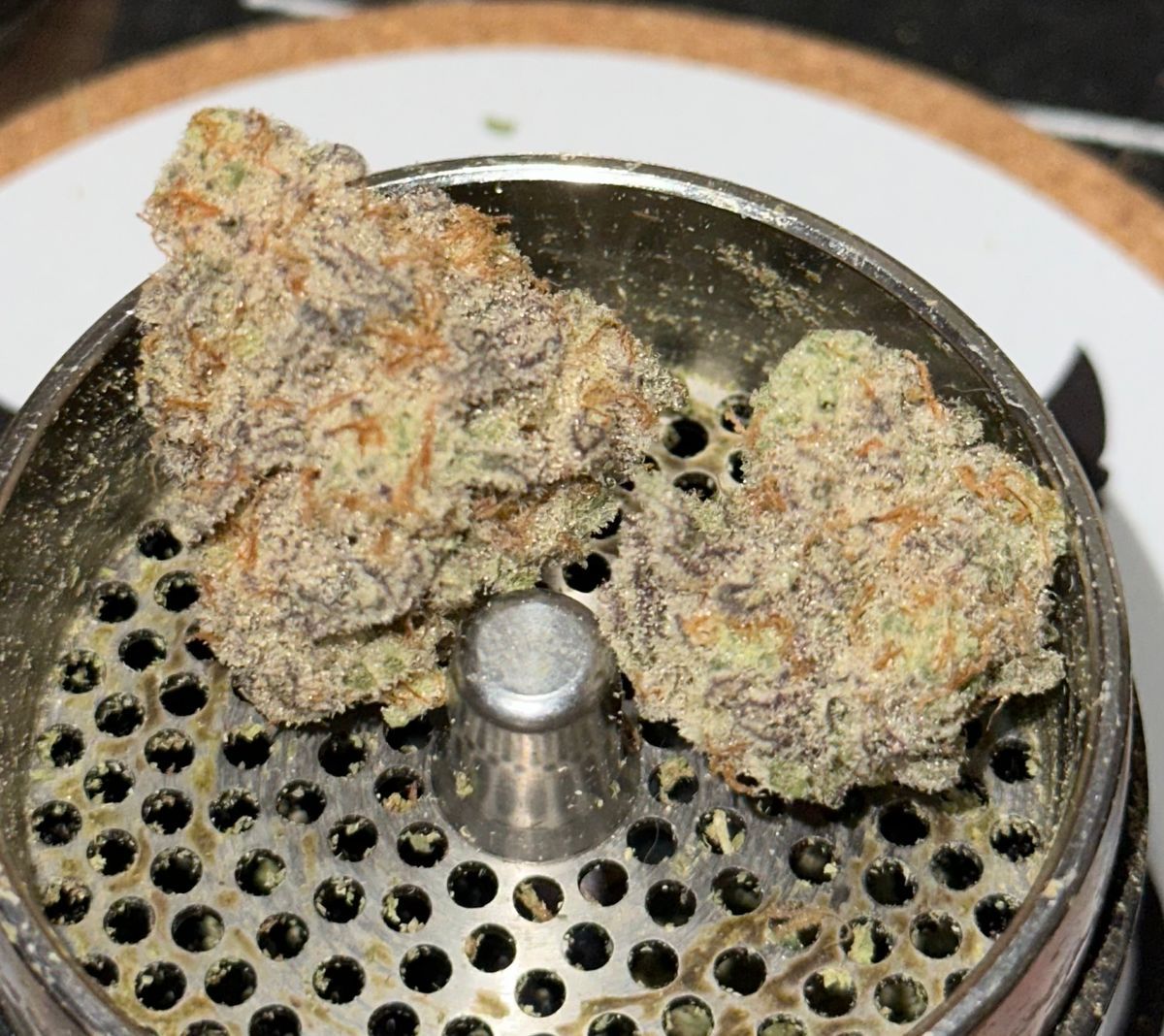 Evan’s Creek: Mac 1